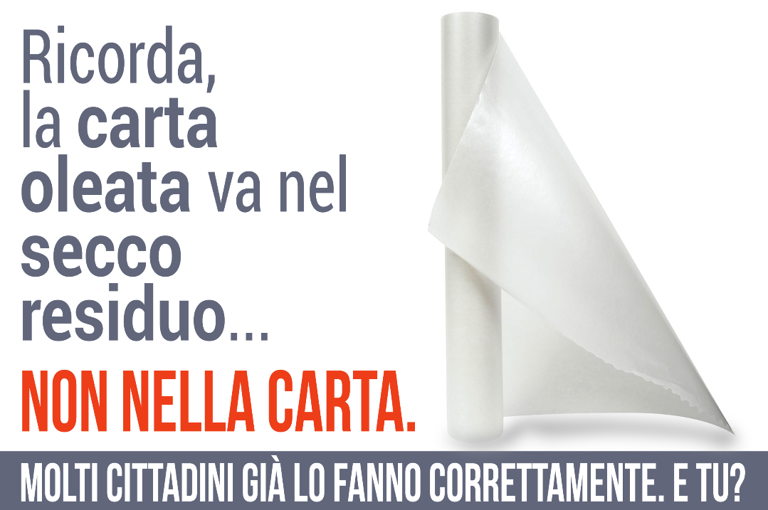 carta oleata