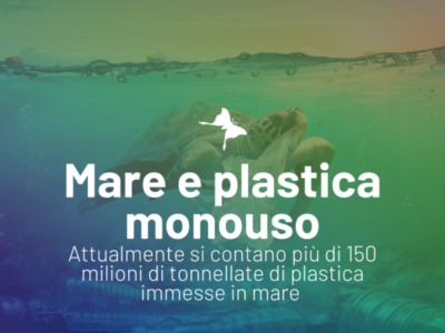 La dispersione delle plastiche monouso nei mari e la nuova direttiva SUP