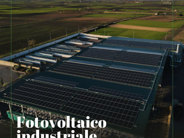 Fotovoltaico industriale: ecco un’installazione per una grande azienda del Sud. Tutti i vantaggi e gli incentivi della nostra proposta