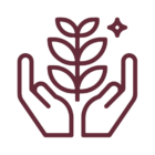 icon box image